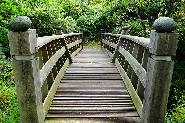 bridge, wooden, wood, crossing, forest, nature, landscape