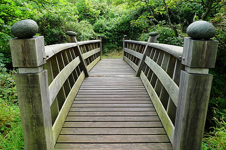 桥梁, 木制, 木材, 穿越, 森林, 自然, 景观