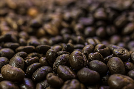cà phê, hạt cà phê, hạt cà phê, cà phê espresso, ly cà phê, rang, đồ uống