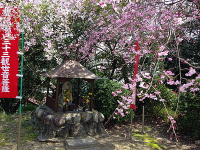 primavera, cerezo, flores, Japón, tutor deidad de los niños