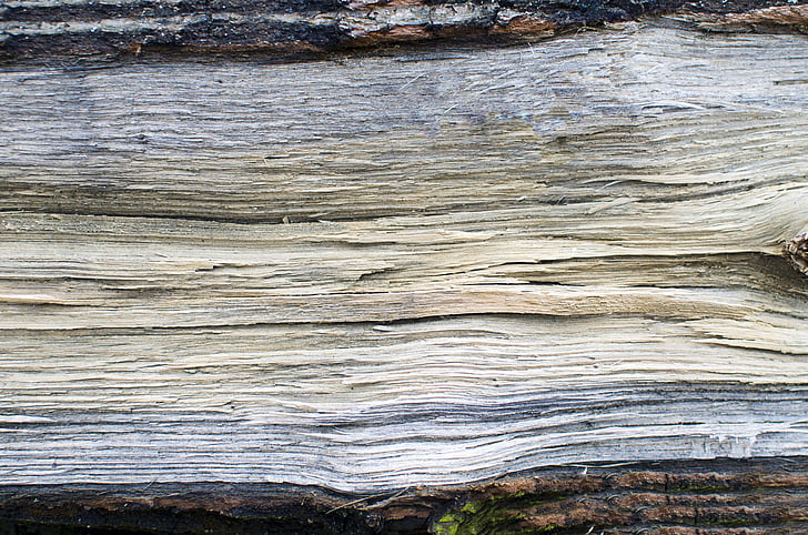 dřevo, abstraktní, pozadí, Κούρα, stromové kůry, Strom, απότομη