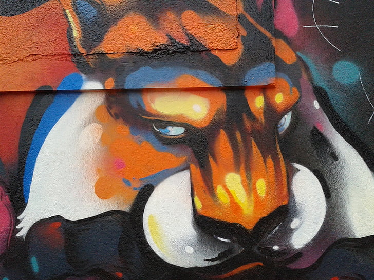 Lugo, djur, grafit, Fox, väggen, Galicien