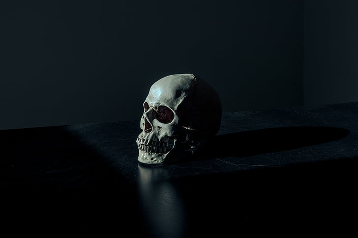 white, skull, table, dark, spooky, human skeleton, horror