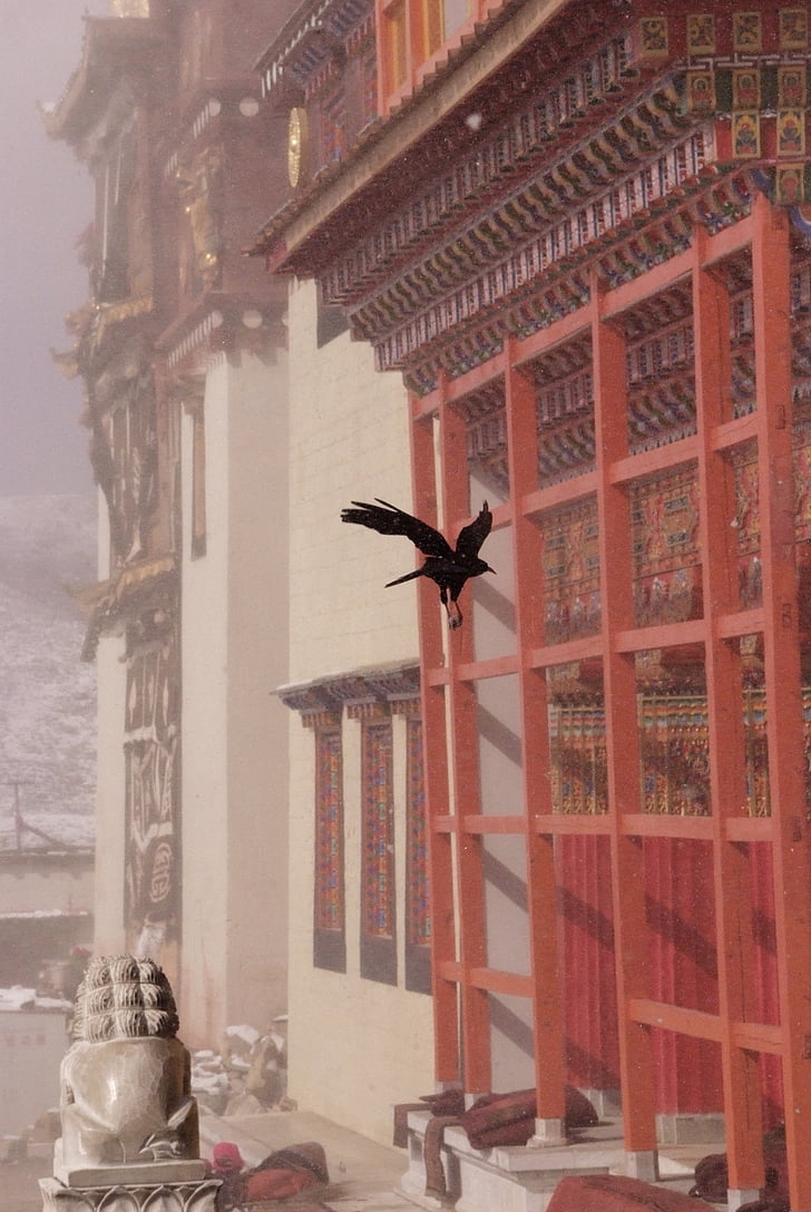 Harmonie, Tibet, Abbildung, Architektur