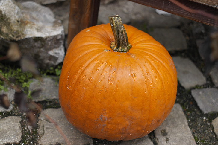Ķirbīte, rudens, Halloween, rudens fona, rudens sajūta, Halloween pumpkins, bildes