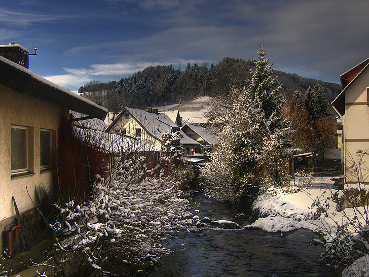 Schwarzwald, byn, Bach, Glottertal, hem, snö, kalla