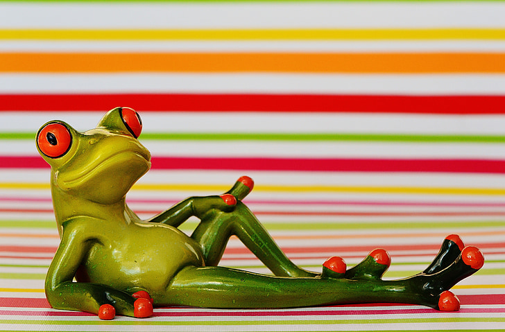 frog, lying, relaxed, cute, rest, figure, funny