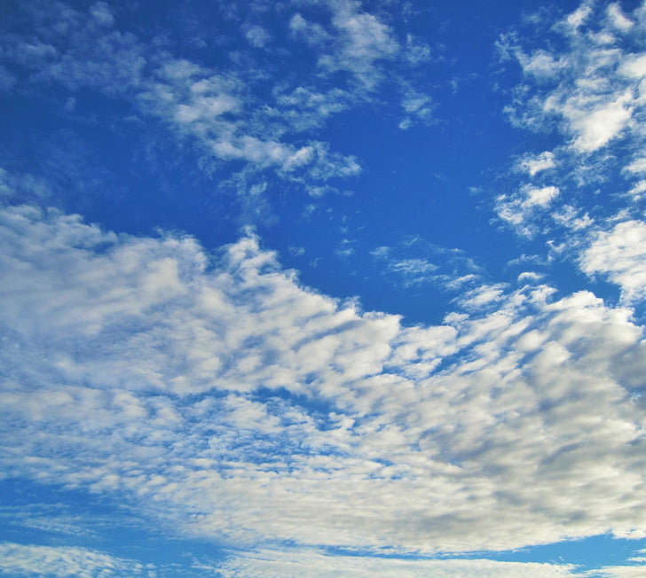 sky, blue, vivid, cloud, flocky, massed