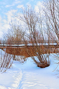 winter, bridge, river, landscape, snow, ice, tree