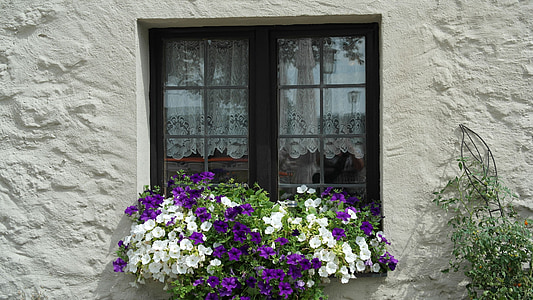 okno, stary, kwiaty, kolorowe, piękne, letnie kwiaty, biały
