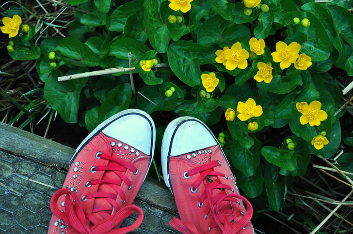 kukat, keltainen, kengät, vaaleanpunainen, lenkkarit, kesällä, Keltaiset kukat