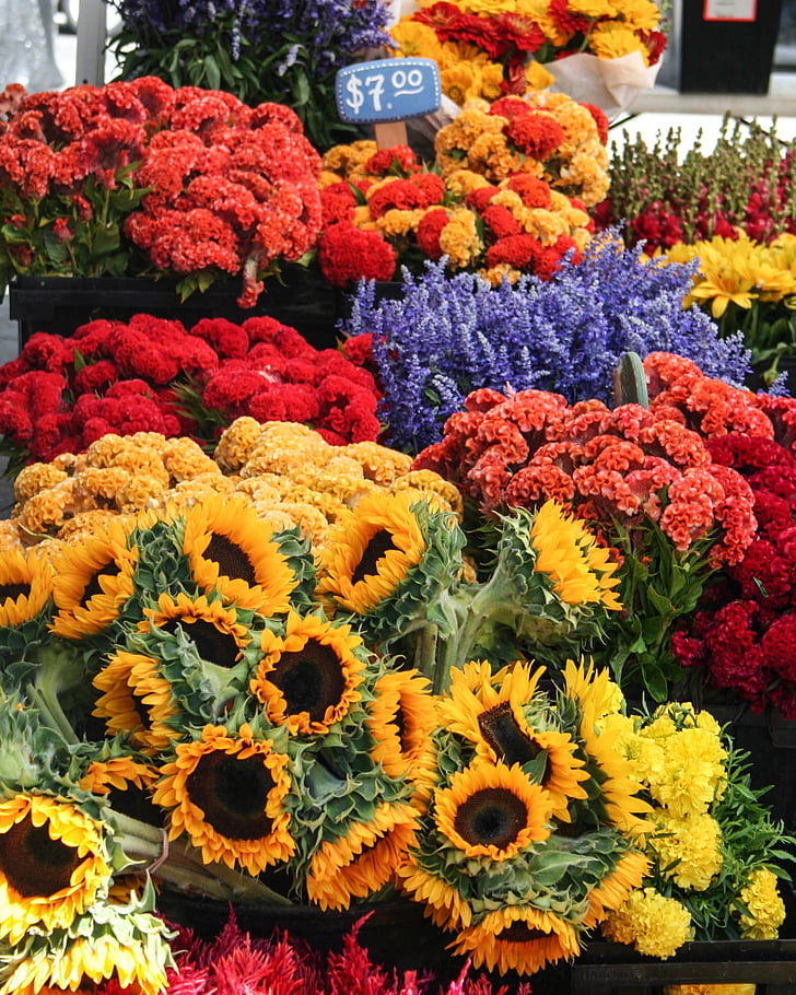 ดอกไม้, ตลาด, ช่อดอกไม้, กลางแจ้ง, สดใหม่, มีสีสัน, บาน