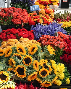 květiny, pouliční trh, kytice, venkovní, čerstvé, barevné, Bloom