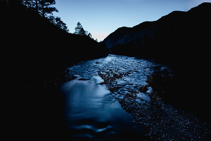 rivière, vagues, photo, matin, arbre, eau, tombée de la nuit
