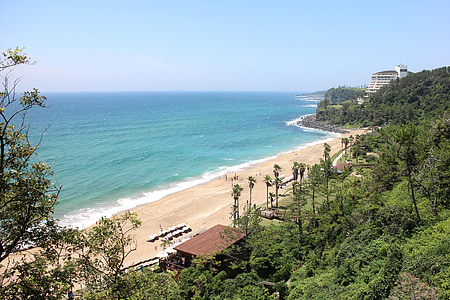 Chiński, Jeju Hotele, prywatna plaża, chiński beach, widokiem na sosny, Plaża, niebo