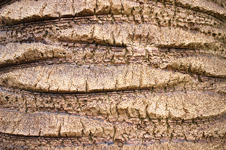 pattern, wood, wood grain