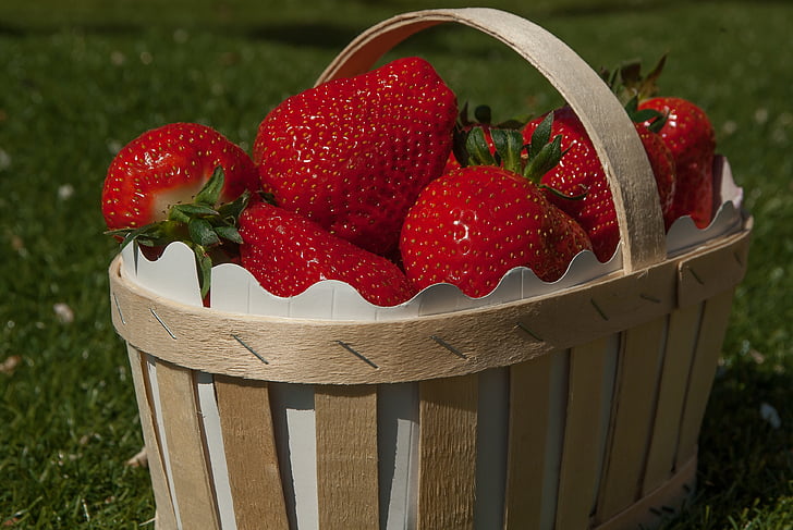 korgen jordgubbar, jordgubbe, frukt, röd, fräschör, mat och dryck, sunda matvanor
