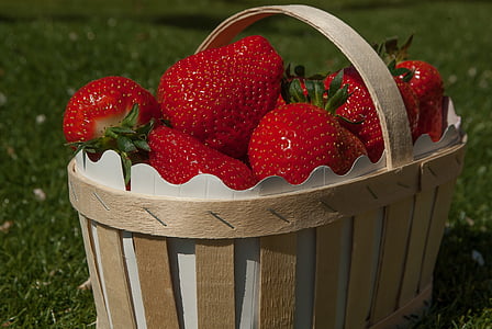 kurv jordbær, jordbær, frukt, rød, friskhet, mat og drikke, sunn mat