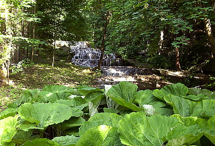 cascade de voile, Szilvásvárad, nature, eau