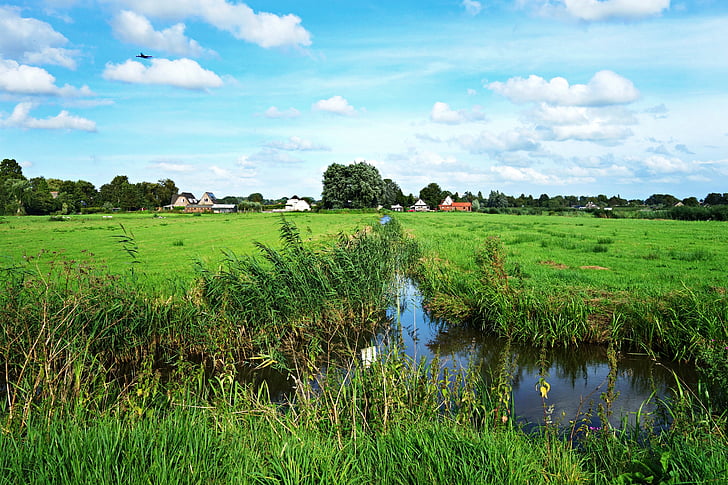 holländska landskapet, landskap, polder, äng, dike, vatten, landsbygd