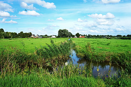 holenderski pejzaż, krajobraz, polder, łąka, rów, wody, wsi