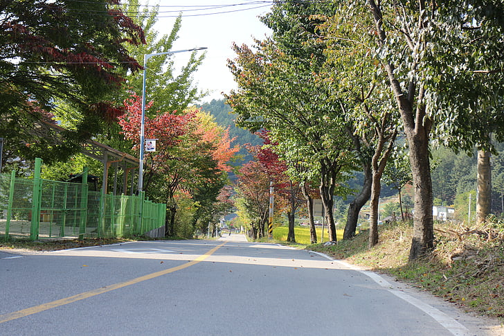 Есен, улица, страна, пейзаж, дървен материал, Есенни листа, Гил