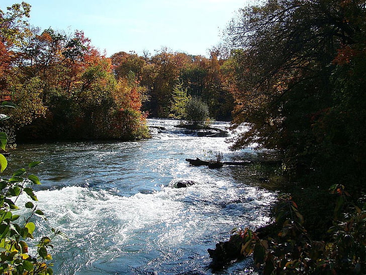 autumn, fall, tree, water, stream, nature, river