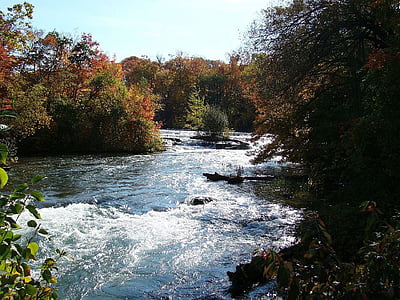 musim gugur, musim gugur, pohon, air, Stream, alam, Sungai