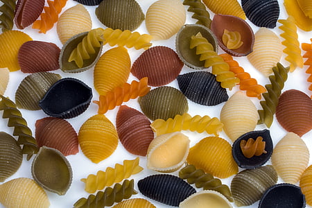 nudler, musling pasta, farverige, spiral pasta, mad, animalske shell, havet