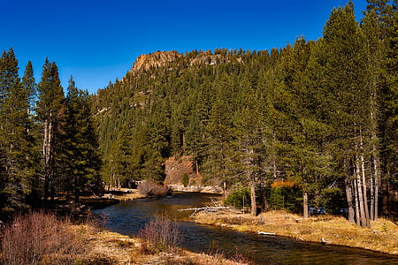 แม่น้ำ truckee, ป่าสงวนแห่งชาติ tahoe, ต้นไม้, ป่า, ภูเขา, แคลิฟอร์เนีย, น้ำ