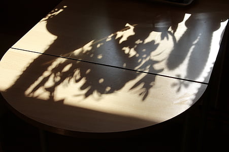 Meja, bayangan, Hispanik, tanaman