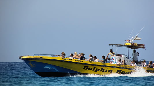 speedbåd, havet, hastighed, sjov, fritid, ferie