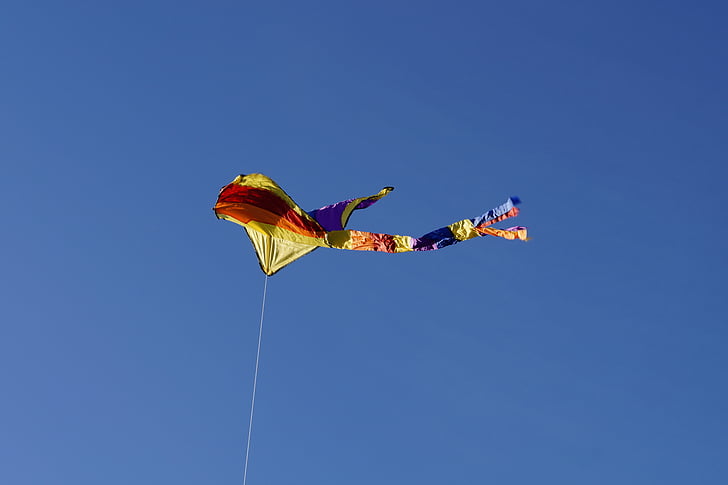 draken, Kite vliegen, hemel, blauw, herfst, Wind, Dragon rising