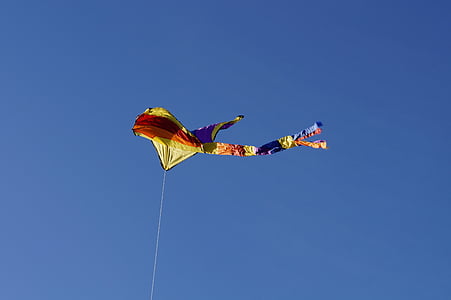 dragons, kite flying, sky, blue, autumn, wind, dragon rising