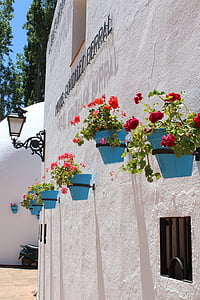 lilled, sinine, valge, potid, Hispaania, Hispaania, looduslik
