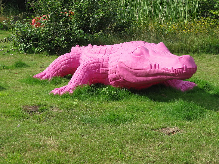 крокодил, розово, опасни, алигатор, трева, природата, на открито