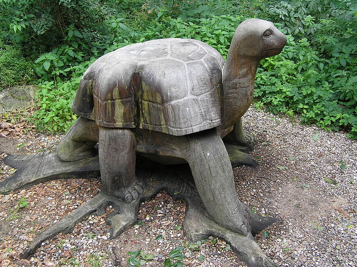 черепаха, Животные, kanske, деревянные, скульптура, животное, Рептилия
