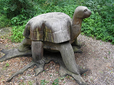 tortuga, animales, kanske, madera, escultura, animal, reptil