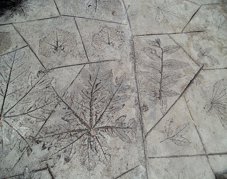 floor, leaves, flooring, structure