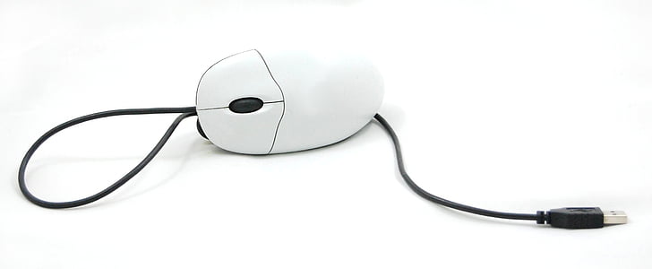 bijeli, miš, računalo, oprema, računala, komponente, kabel