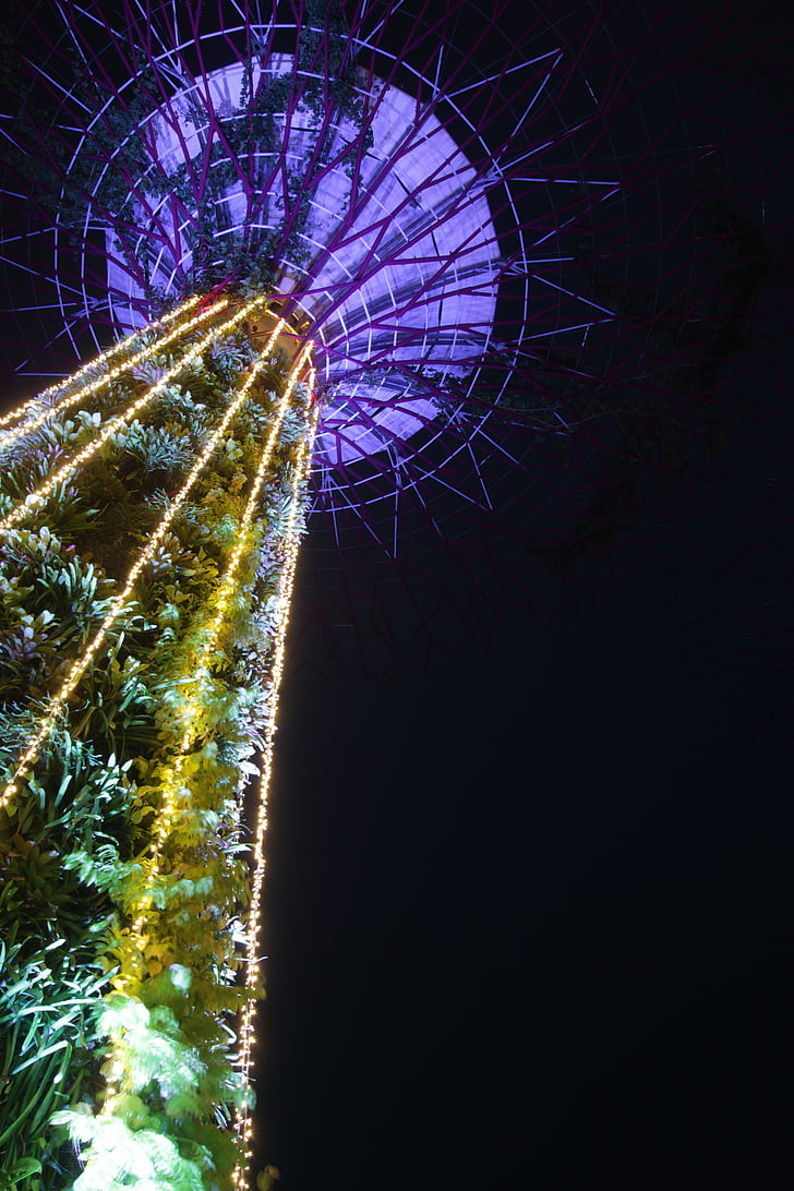 supertree, night, singapore, architecture, light, landmark, modern