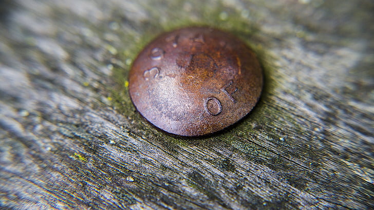 bolt, rust, wood, rivet, metal, old, nail