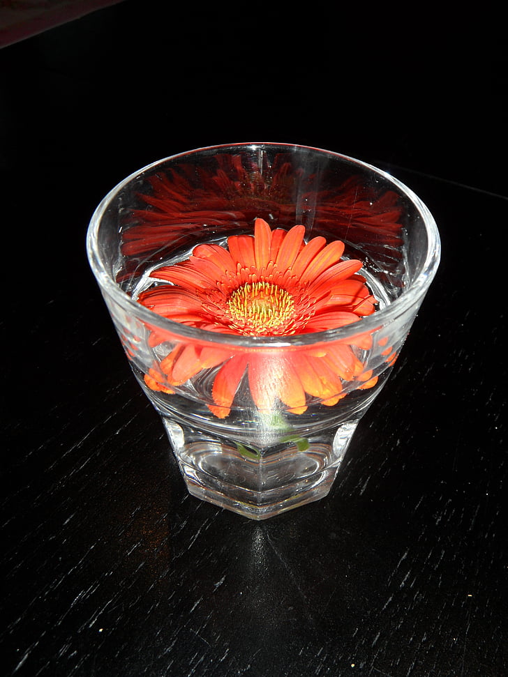 flor, naranja, flor de naranja, vidrio, decoración, decoraciones para la mesa, decoración de la mesa