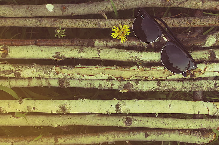 sunglasses, arranged, lying on, wooden, sticks, twigs, natural