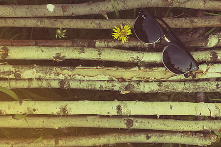 occhiali da sole, organizzato, sdraiato sul, in legno, bastoni, ramoscelli, naturale