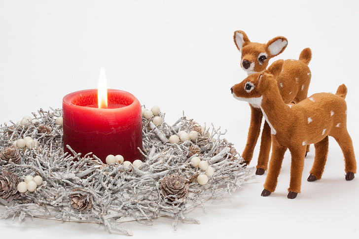 christmas, candle, light, wreath, decoration, atmosphere, fawn