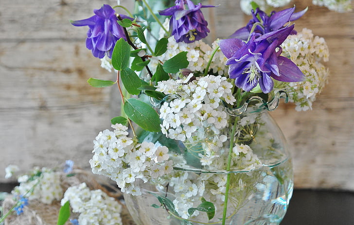 Blumen, Blumen-vase, Schnittlauch, Still-Leben, Frühling, in der Nähe, bunte