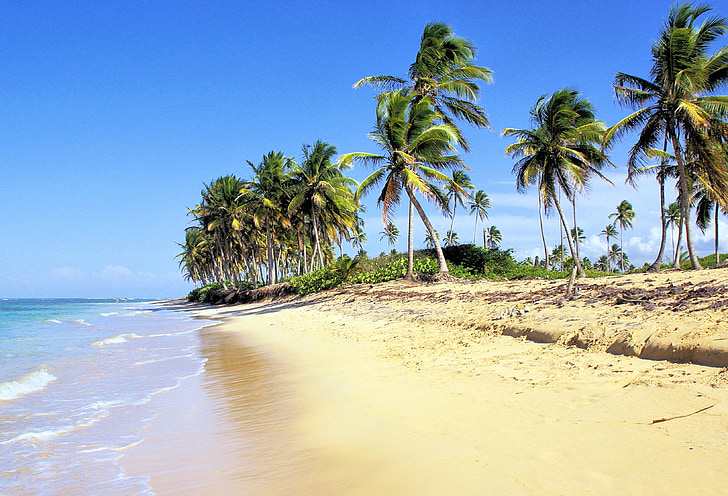 dominican republic, beach, bavaro, tropics