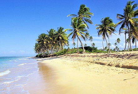 Dominikāna, pludmale, Bavaro, tropos