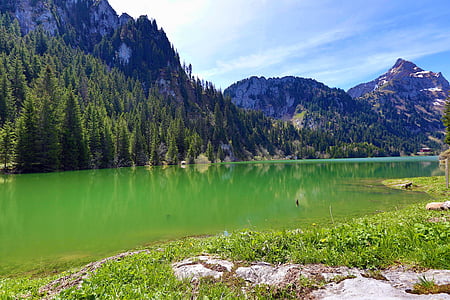 ezers, kalni, zaļa, meža, āra, daba, ainava